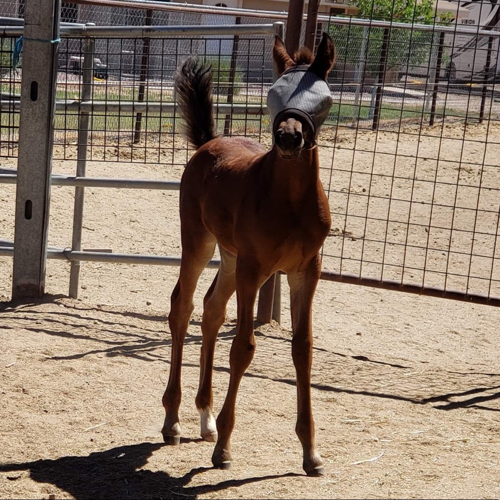 Meet your Posher, Address